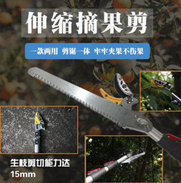 摘果剪3米5米高枝剪高空剪鋸摘果器荔枝龍眼黃皮采果園林工具