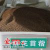 批發四季耐寒牧草苜蓿種子 簡裝多季工程專業花草