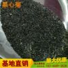 廠家批發黑心菊種子黑心金光菊