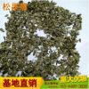 批發庭院陽臺易種宿根草花紫色松果菊種子景觀花海