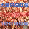 四季紅蔥頭 紅蔥種子 香蔥頭 調料紅蔥頭 紅蔥頭干