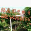 凌霄 果樹木花卉木 園林綠化木.常綠喬木.灌木