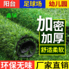 廠家直銷仿真草坪人造草坪塑料假草皮人工室內(nèi)陽臺裝飾綠植綠色
