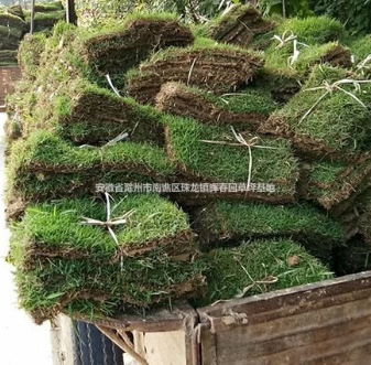 滁州馬尼拉