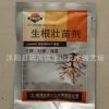 花卉植物移栽生根粉生根劑批發(fā)生根壯苗劑批發(fā)讓植物快速生根