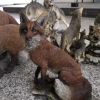 戶外仿真小狐貍擺件 卡通動物花園林景觀雕塑 樹脂公園庭院裝飾品