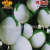 陽臺專用觀賞茄子小白茄子 雞蛋茄 約20粒