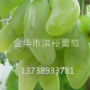 土壤含水量對浙江葡萄苗生長的影響