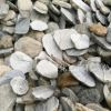 廠家直銷 鵝卵石切片 別墅 建筑 花園外墻貼
