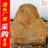 廠家直銷深圳韶關大型黃蠟石，黃臘石假山石料，刻字石