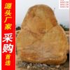 廠家直銷深圳韶關大型黃蠟石，黃臘石假山石料，刻字石