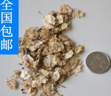 公司批發(fā)新采的 白榆種子 榆錢樹種子 家榆樹種子 家榆種子