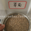 翠菊花草 翠菊 觀賞植物 園藝花卉可盆栽花海專用