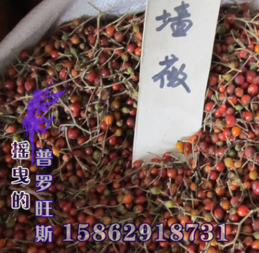 批發薔薇花種子 優質月季花 玫瑰花 爬藤薔薇花種子 質量好