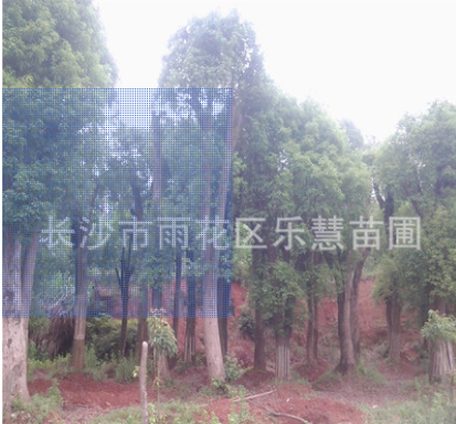 QQ截圖20180828111941