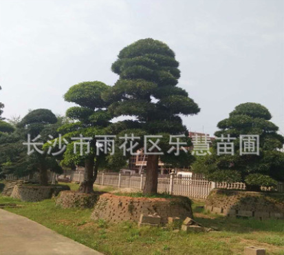 QQ截圖20180828115906