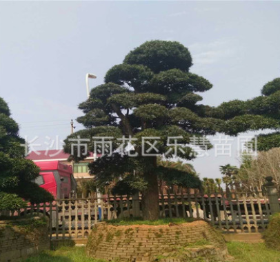 QQ截圖20180828115922