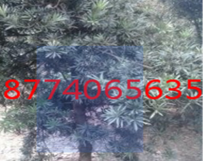 QQ截圖20180828144227