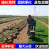 綠化草坪真草坪批發(fā)果嶺草上海四季青小區(qū)別墅工程綠化草坪真草皮