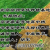 張家口草坪基地批發 綠化草坪價格 張家口公園小區草坪廠家