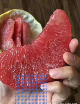 QQ截圖20180830145131