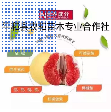 QQ截圖20180830153000