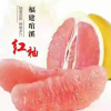平和正宗琯溪蜜柚苗 紅心蜜柚 5公分以上大苗 4年紅心蜜柚苗