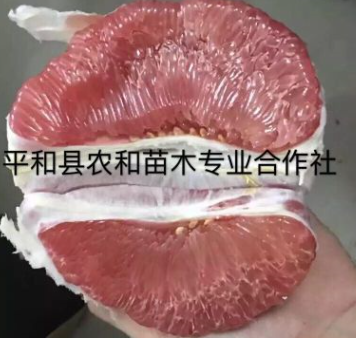 QQ截圖20180830154108