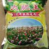 盆栽庭院園藝復合肥 盆栽花卉營養復合肥 通用植物復合肥