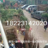 江蘇果樹苗木批發市場 獼猴桃苗 嫁接紅心獼猴桃苗 南方種植果苗