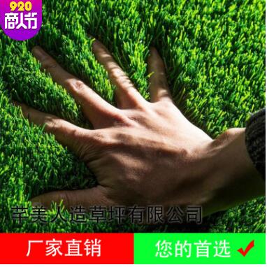 廠家批發 足球場門球 運動草坪 草坪地毯 綠化工程 綠化人造草皮
