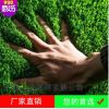 廠家批發(fā) 足球場(chǎng)門(mén)球 運(yùn)動(dòng)草坪 草坪地毯 綠化工程 綠化人造草皮