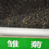 實體店批發(fā)進口草坪草花 雛菊種子 混色 迷你型 高品質(zhì) 放