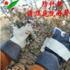 景苑花園庭院用牛皮手套園林 修剪帶刺花卉 防扎 防刺 防水 耐磨