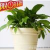 樹脂圓形特大號果蔬種菜花盆庭院戶外種植花盆園藝用品種植盆批發