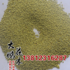 地被草坪種子 白三葉包衣種子批發價 發芽率高 優質白三葉種子