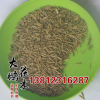 批發優質牧草種子 廠家冰草種子 固堤防沙耐旱耐寒冰草種子