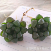 多肉植物批發 姬玉露3厘米十二卷屬 室內桌面綠植盆栽 肉肉植物