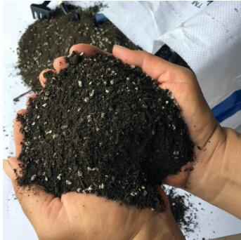 陽臺樓頂種菜專用栽培基質有機營養土蔬菜通用泥炭營養土 散裝