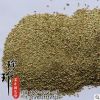 批發百喜草種子 百喜草籽 草坪種子 量大從優