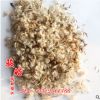 批發優質草本花卉種子 勛章菊種子 觀賞植物 觀花植物 易種植
