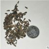 供應批發優質牛蒡子（大力子）種子中藥材種子物優價廉量大從優