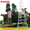 東莞苗木基地直批15-25公分造型羅漢松 日本臺灣羅漢松樁景綠植