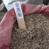 批發(fā)各種花卉種子菊花種子 優(yōu)質(zhì)金盞菊種子 草花種子