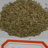 【大福源園林】供應各種工程綠化小苗 量大優惠 黑麥草 多年生
