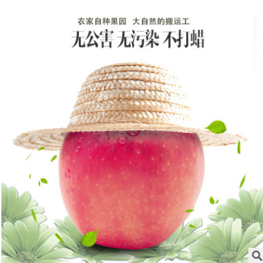 脆甜紅富士 蘋果臨猗水果