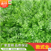 富貴什錦草 壁掛藤蔓仿真植物吊頂裝飾 仿真葉子藤條仿真葡萄葉藤
