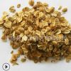 批發(fā)優(yōu)質(zhì)白芷種子中藥材種子白芷藥草種子 品種齊全 量大優(yōu)惠
