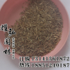 優質草坪種子 高羊茅種子 包發芽 耐寒易種植 固土護坡 成活率高
