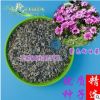 批發2018年新種子紫色向日葵觀賞盆花切花庭院美化淳樸自然包郵